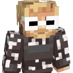 boijedi11 Minecraft avatar bust