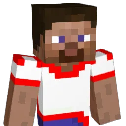 boltzman111 Minecraft avatar bust