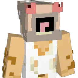 bomzis12369 Minecraft avatar bust