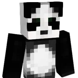 bonggu0611 Minecraft avatar bust