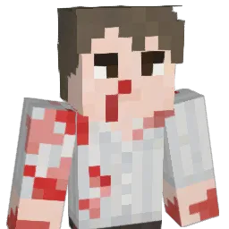 bonkobarnes Minecraft avatar bust