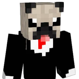 boogerkid6 Minecraft avatar bust
