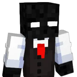 boop0w07 Minecraft avatar bust