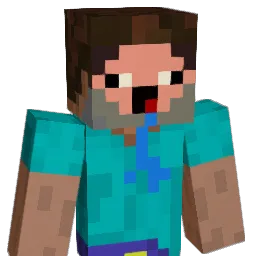 bora423 Minecraft avatar bust