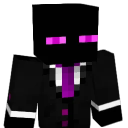 borhan1234 Minecraft avatar bust