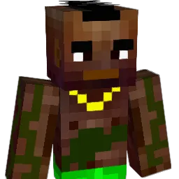 borry228's Minecraft skin