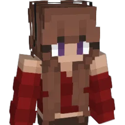 bottledarizona Minecraft avatar bust