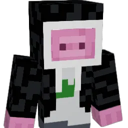 boubounedu3844 Minecraft avatar bust