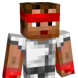 boulou76610 Minecraft avatar bust
