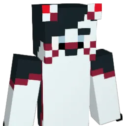 bow_austin