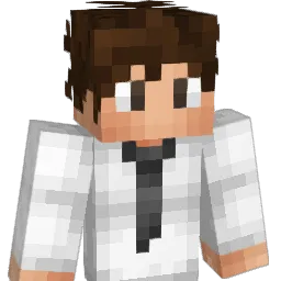 br8wny Minecraft avatar bust