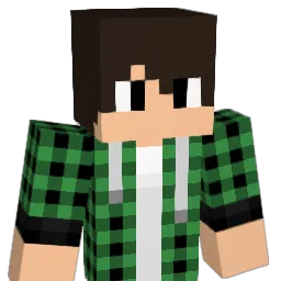 brachaloch Minecraft avatar bust
