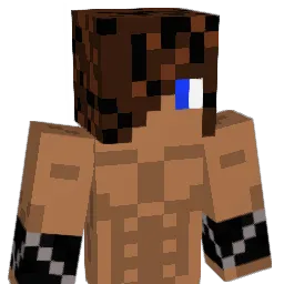brafo123 Minecraft avatar bust
