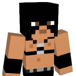 braschi27 Minecraft avatar bust