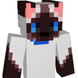 bravecat299 Minecraft avatar bust