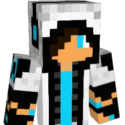 braydenhill Minecraft avatar bust