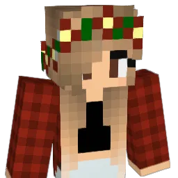 braydenprehn05 Minecraft avatar bust