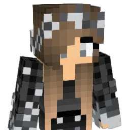 bre1232003 Minecraft avatar bust