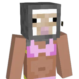 breez901 Minecraft avatar bust