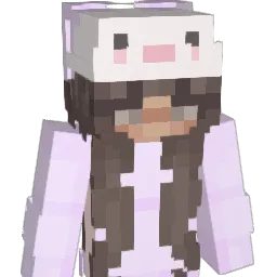 bresworldd Minecraft avatar bust