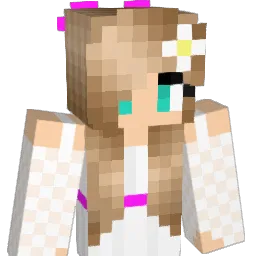 bri511 Minecraft avatar bust