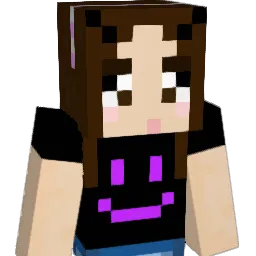 bri_8542 Minecraft avatar bust
