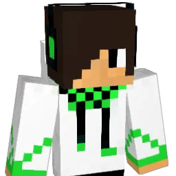 brian531531531 Minecraft avatar bust
