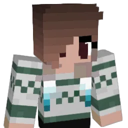 brianagracee Minecraft avatar bust