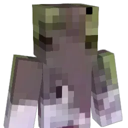 brightman17 Minecraft avatar bust