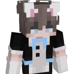 briidiim's Minecraft skin