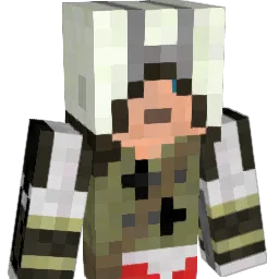 brinsingr55 Minecraft avatar bust