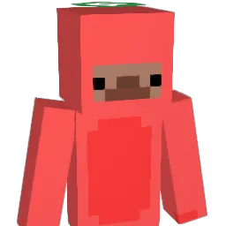 brion003 Minecraft avatar bust