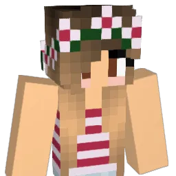 briridd's Minecraft skin
