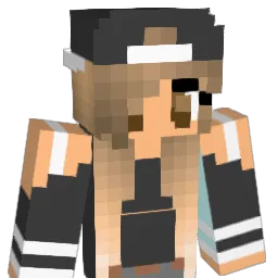 brisketsandwich3 Minecraft avatar bust