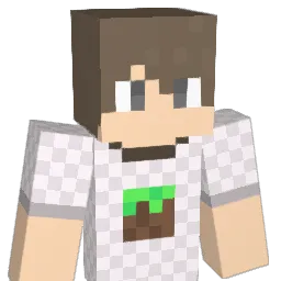 brn_0516 Minecraft avatar bust
