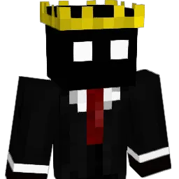 bro123EeEeE Minecraft avatar bust
