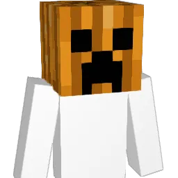 bronse42 Minecraft avatar bust