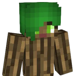 broom14 Minecraft avatar bust