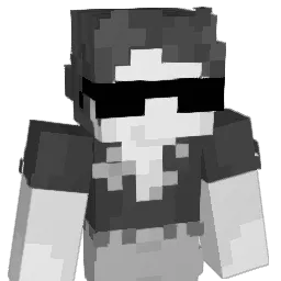 brown110879's Minecraft skin