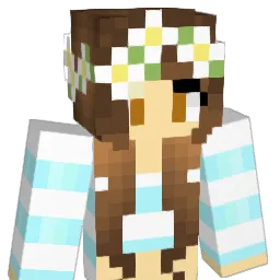brrbri's Minecraft skin