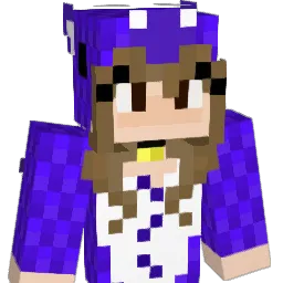 bruhlikewhodis Minecraft avatar bust
