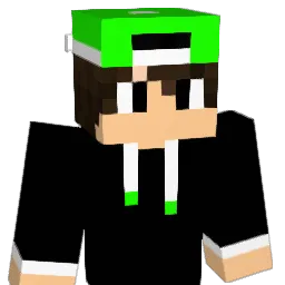 bruhmoment8 Minecraft avatar bust
