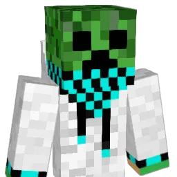 bruiser1234 Minecraft avatar bust
