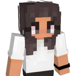 brunevis's Minecraft skin