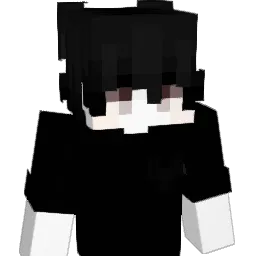 bruninpvp472_