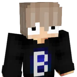 brunx25 Minecraft avatar bust