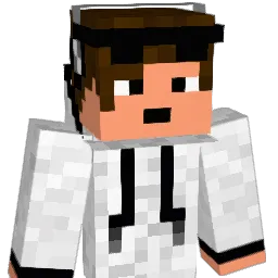 brx25 Minecraft avatar bust