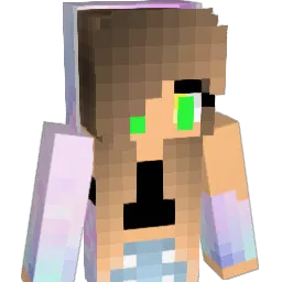 bry223's Minecraft skin