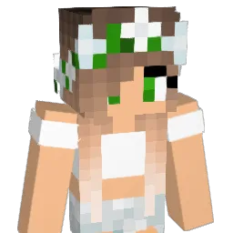 bswi_1 Minecraft avatar bust