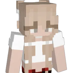 bubba270684 Minecraft avatar bust